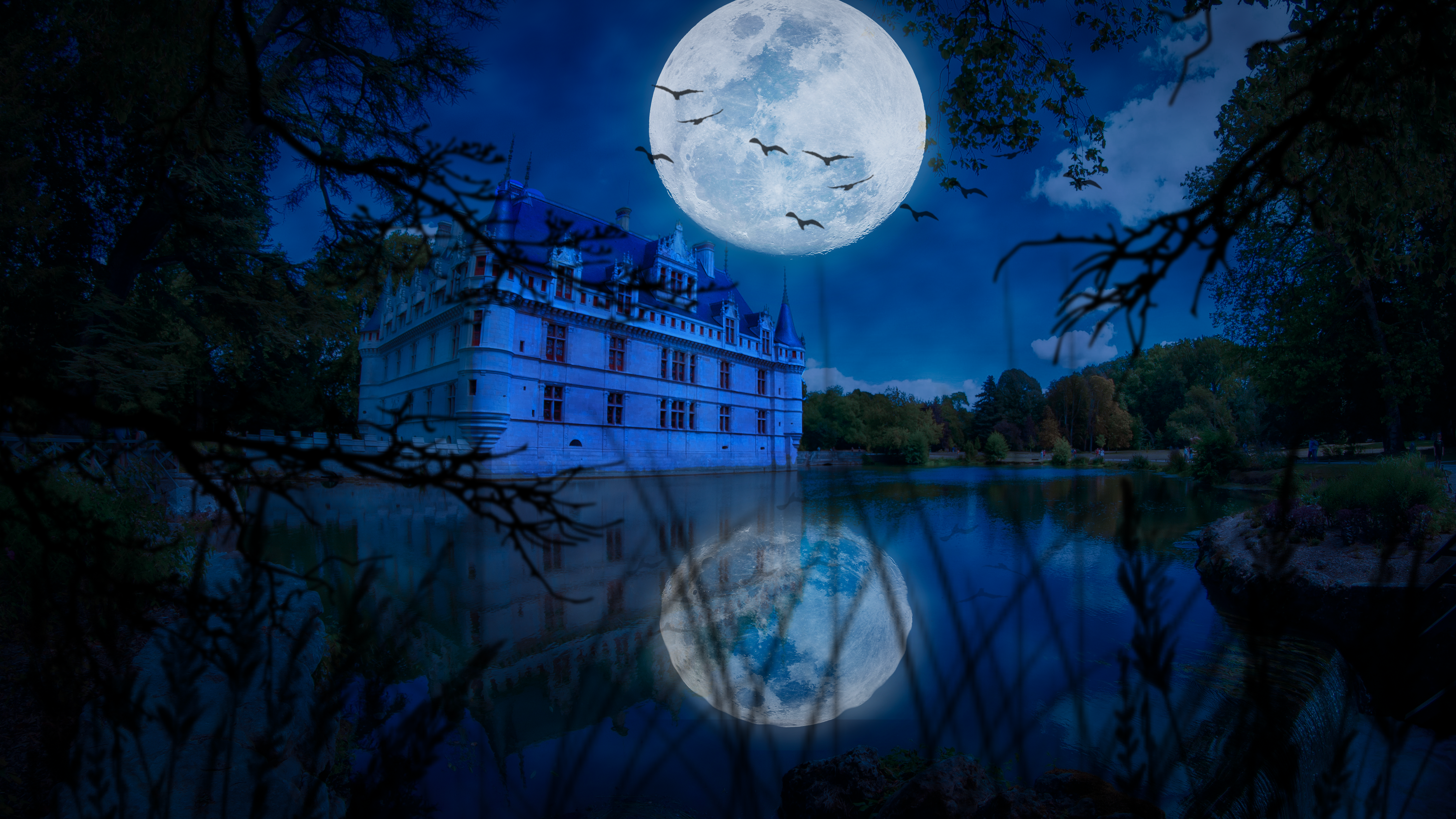 chateau sous la lune